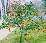 包含e裪?'詿蛶kc?(+焷砟?S4r朚zi;拓堬訆的词条